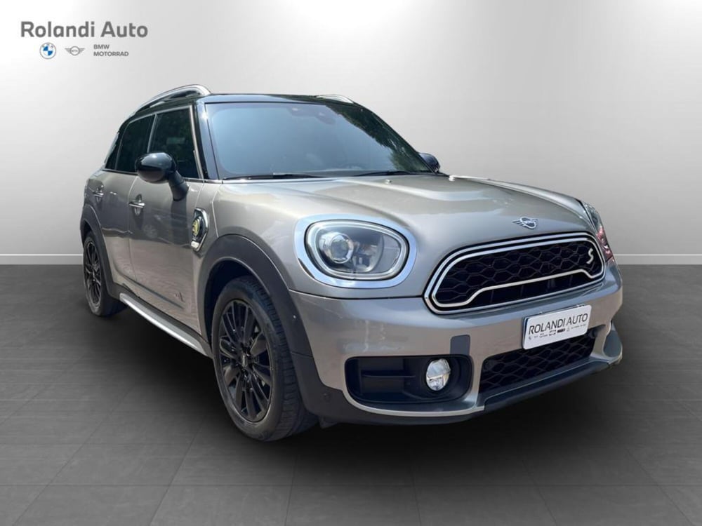 MINI Mini Countryman usata a Alessandria (3)