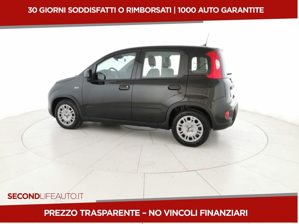 Fiat Panda nuova a Chieti (2)