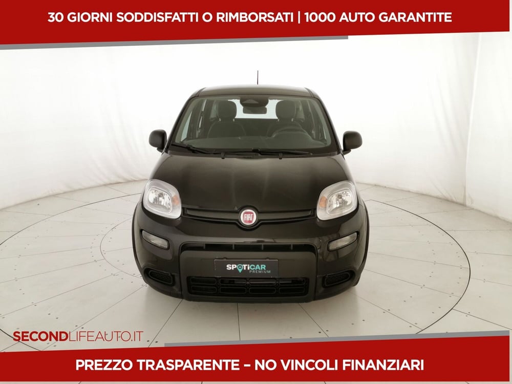 Fiat Panda nuova a Chieti (20)