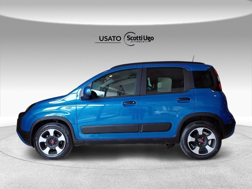 Fiat Panda usata a Siena (5)