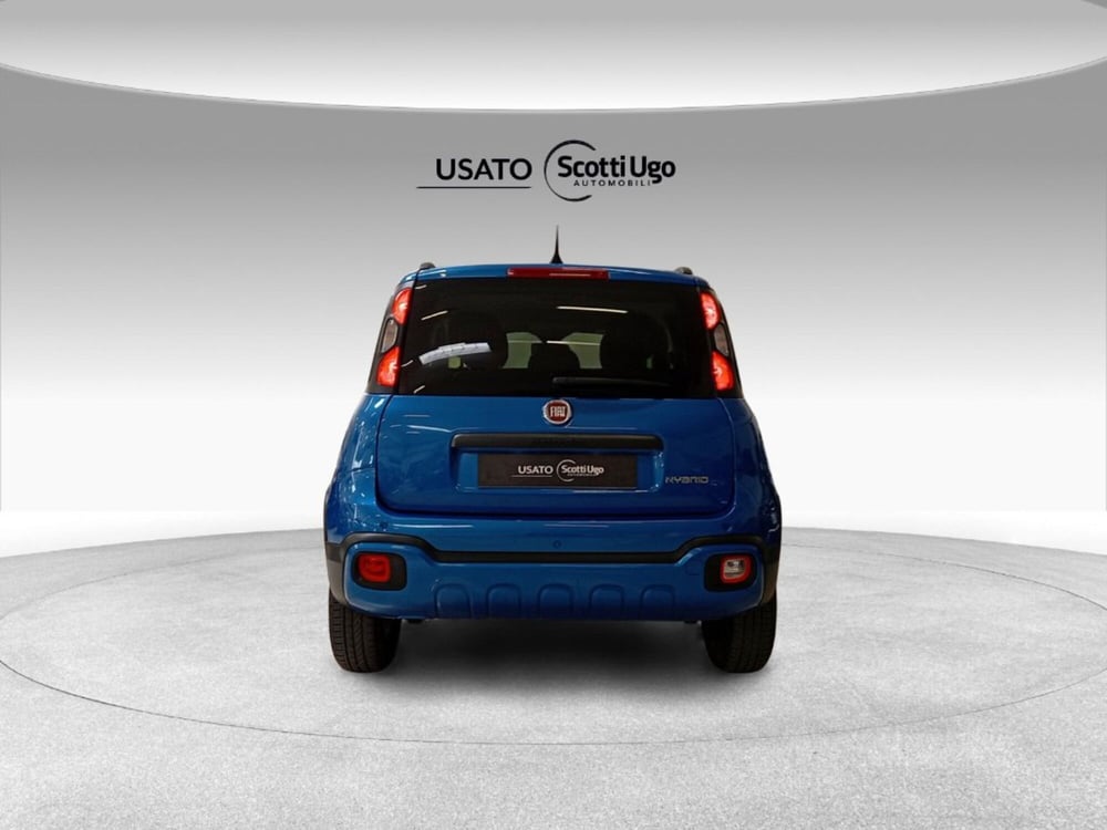 Fiat Panda Cross usata a Firenze (7)