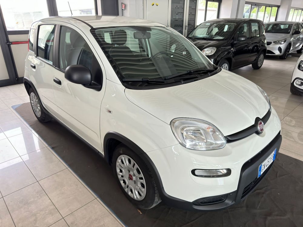 Fiat Panda usata a Ferrara