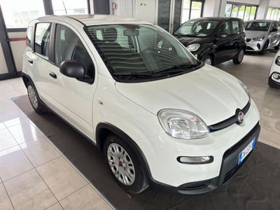 Fiat Panda 1.0 FireFly S&amp;S Hybrid City Cross del 2023 usata a Ferrara