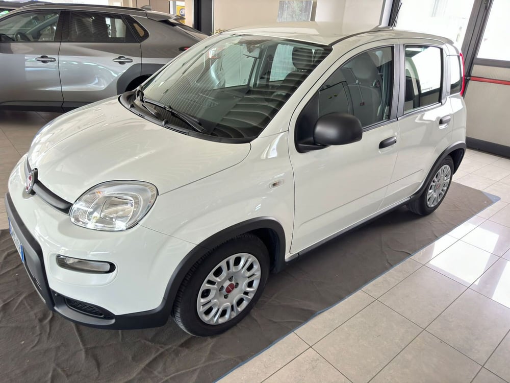 Fiat Panda usata a Ferrara (2)