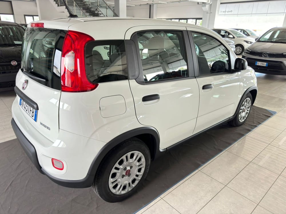 Fiat Panda usata a Ferrara (3)