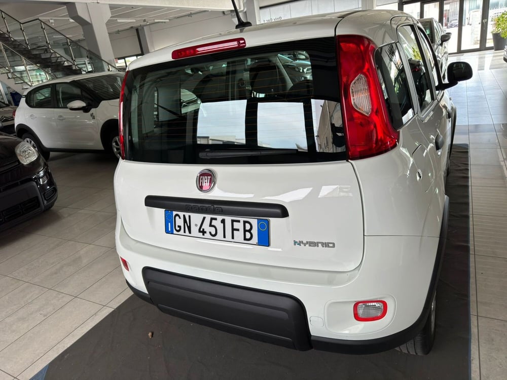 Fiat Panda usata a Ferrara (5)