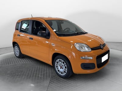 Fiat Panda 1.2 EasyPower Lounge del 2021 usata a Ponsacco