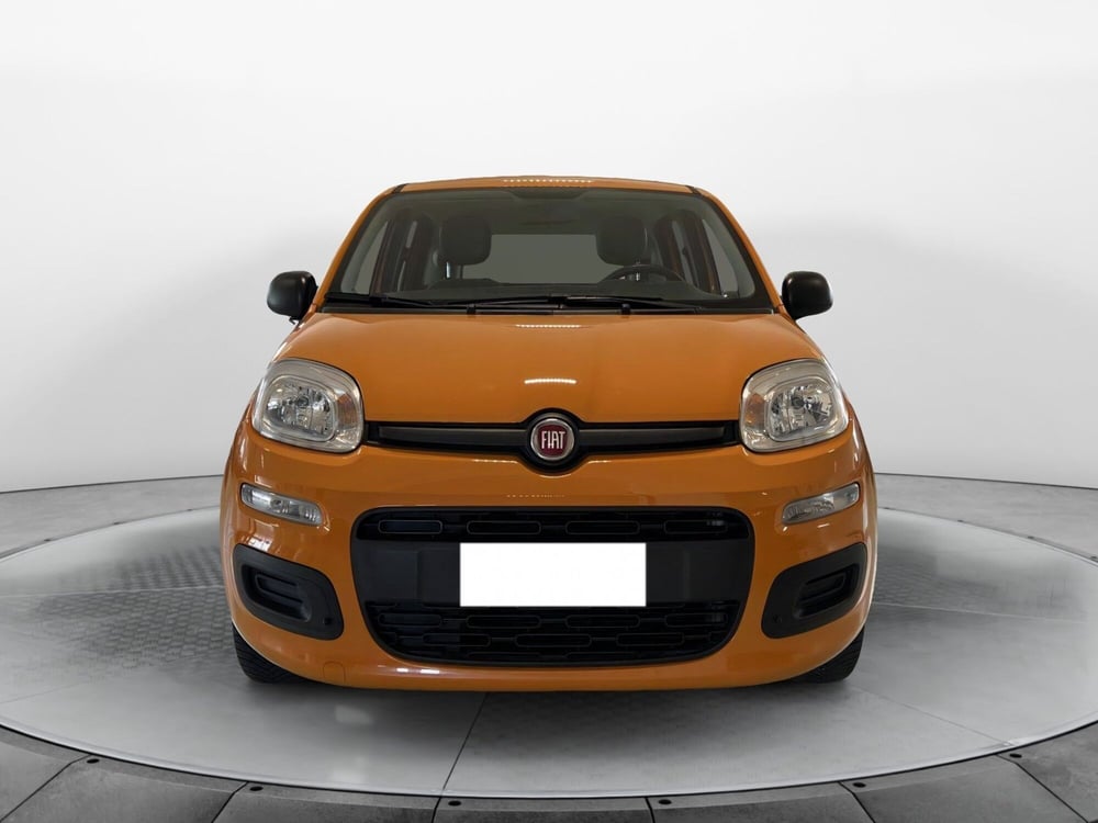 Fiat Panda usata a Pisa (2)