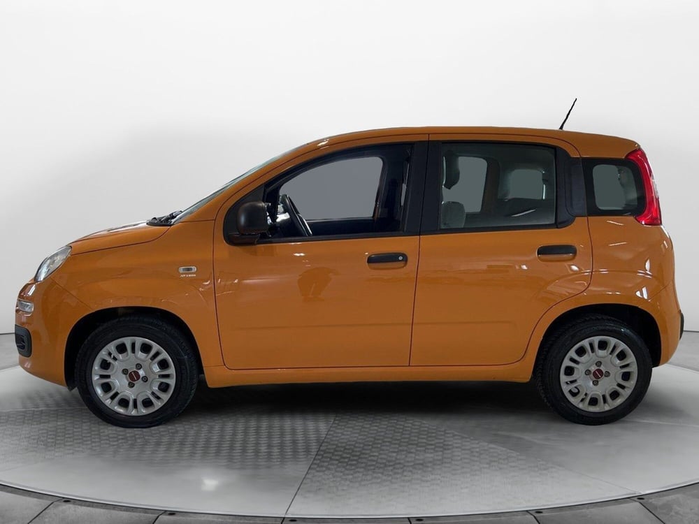 Fiat Panda usata a Pisa (3)