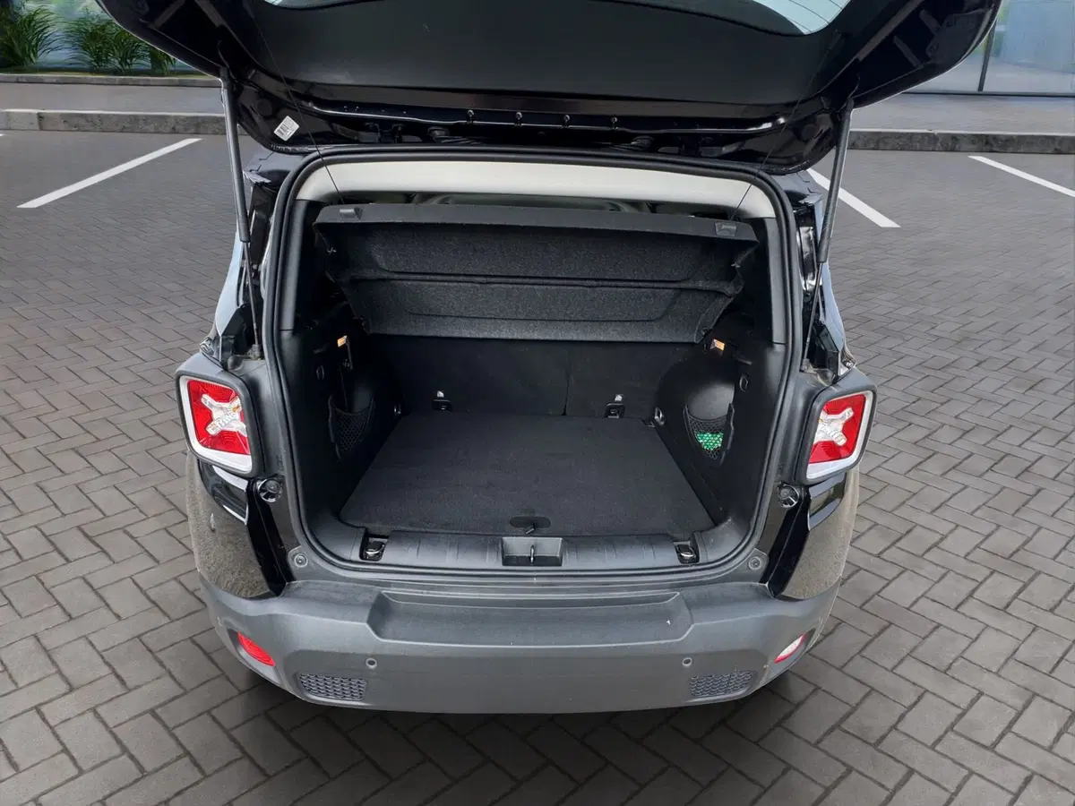 Jeep Renegade usata a Cosenza (19)