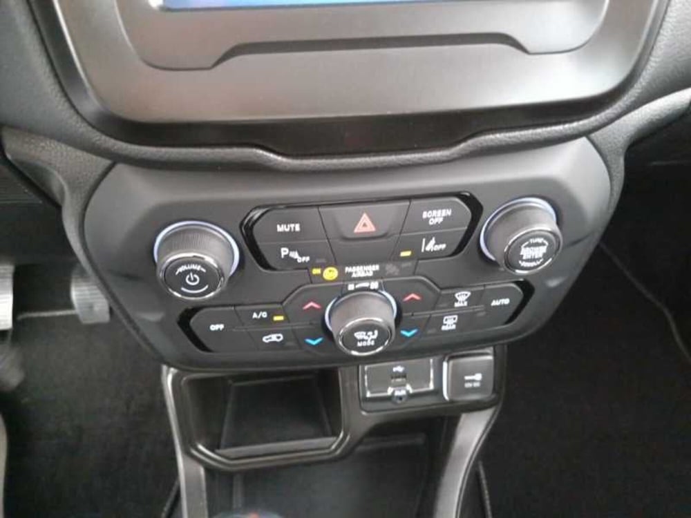 Jeep Renegade usata a Treviso (17)