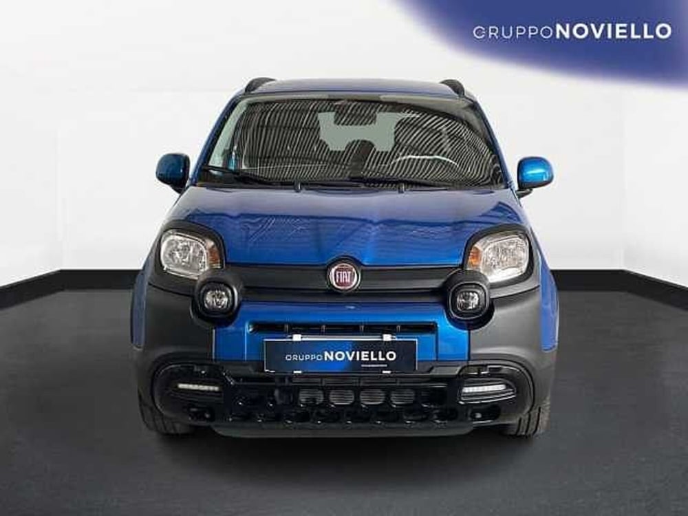 Fiat Panda usata a Salerno (2)