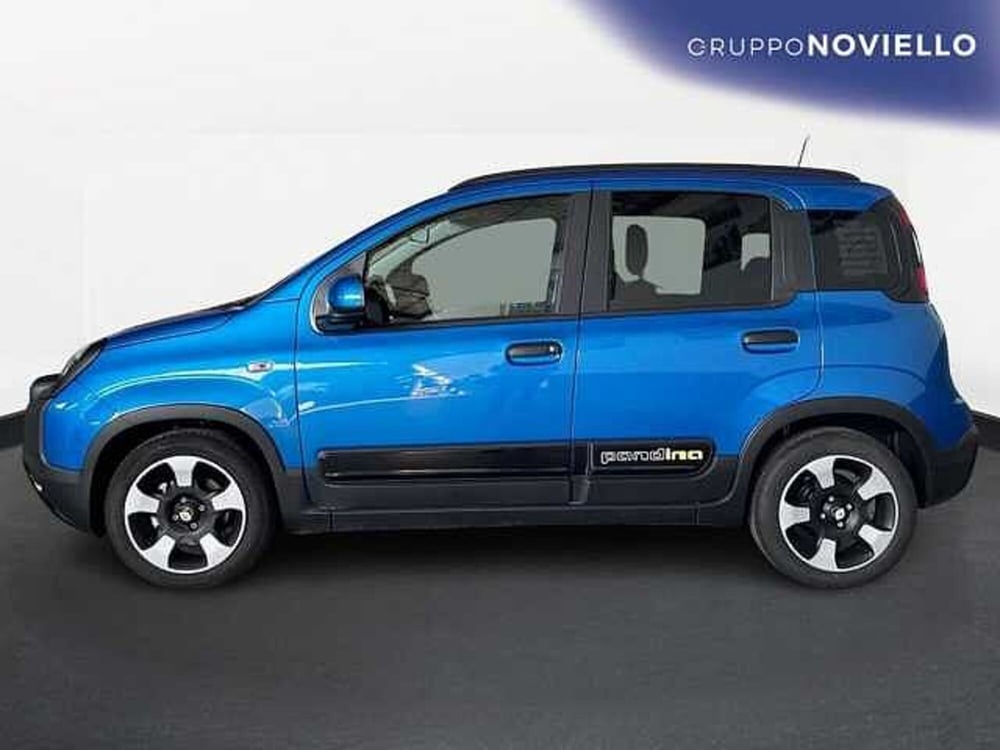 Fiat Panda usata a Salerno (4)