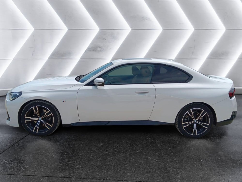 BMW Serie 2 Coupé usata a Cuneo (3)