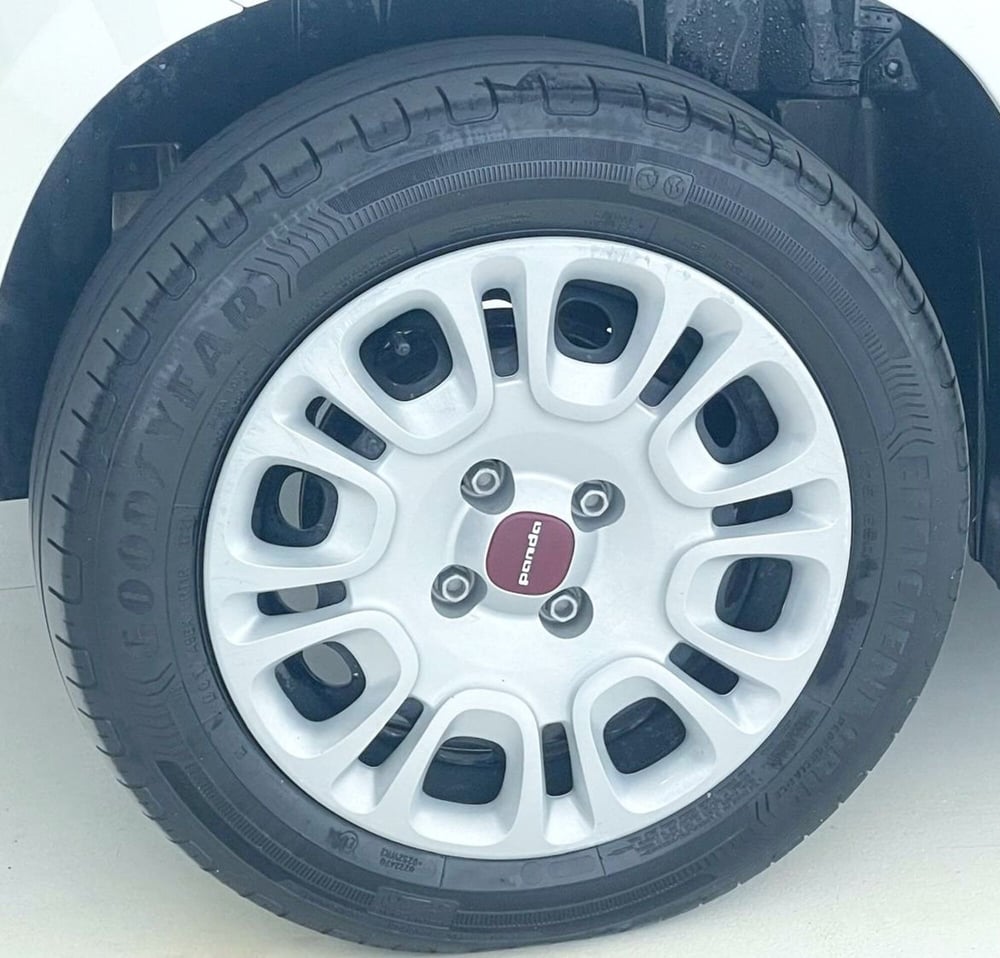 Fiat Panda Cross usata a Perugia (19)