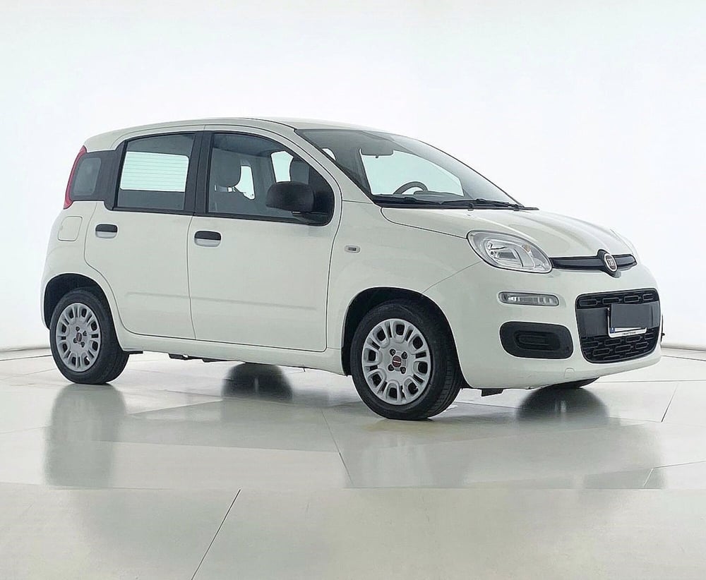Fiat Panda Cross usata a Perugia (2)