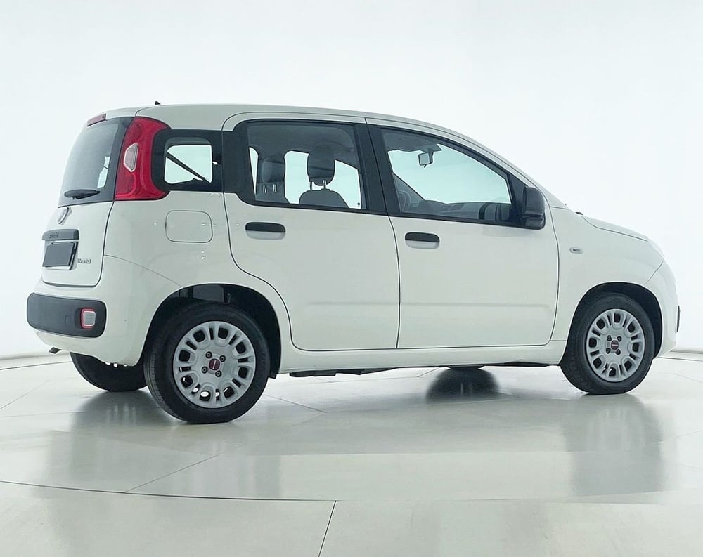 Fiat Panda Cross usata a Perugia (6)