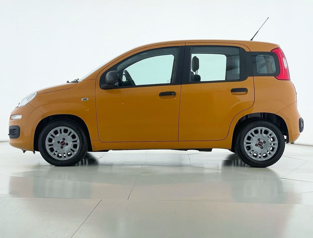 Fiat Panda Cross usata a Perugia (3)