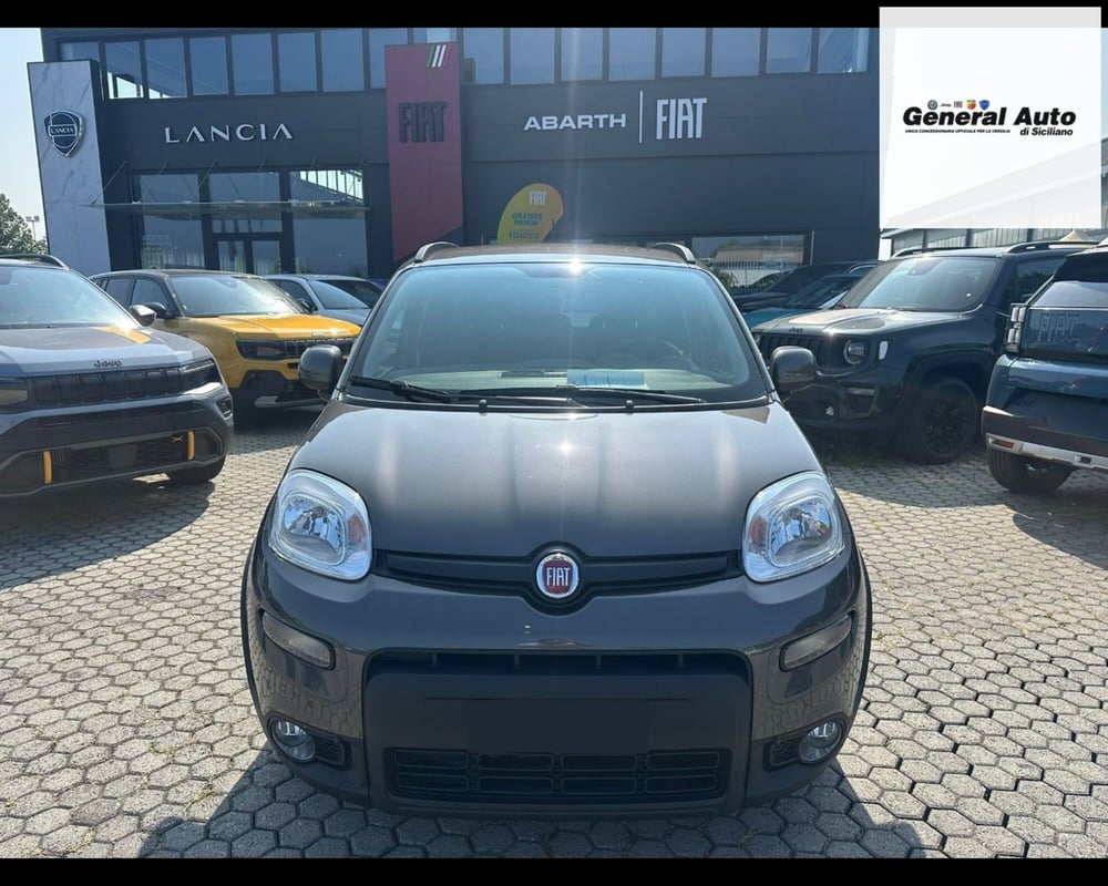 Fiat Panda usata a Lucca (2)