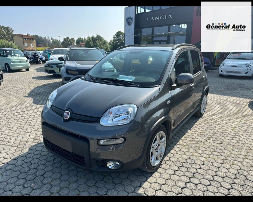 Fiat Panda usata a Lucca (3)