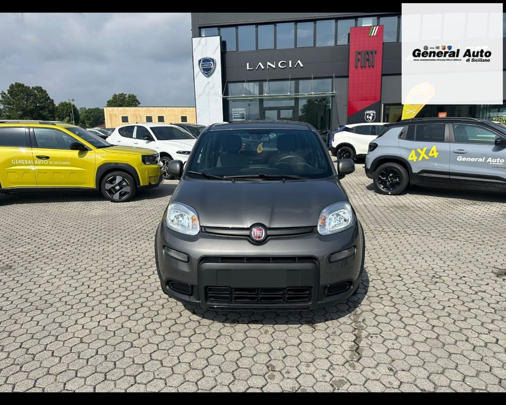 Fiat Panda usata a Lucca (2)