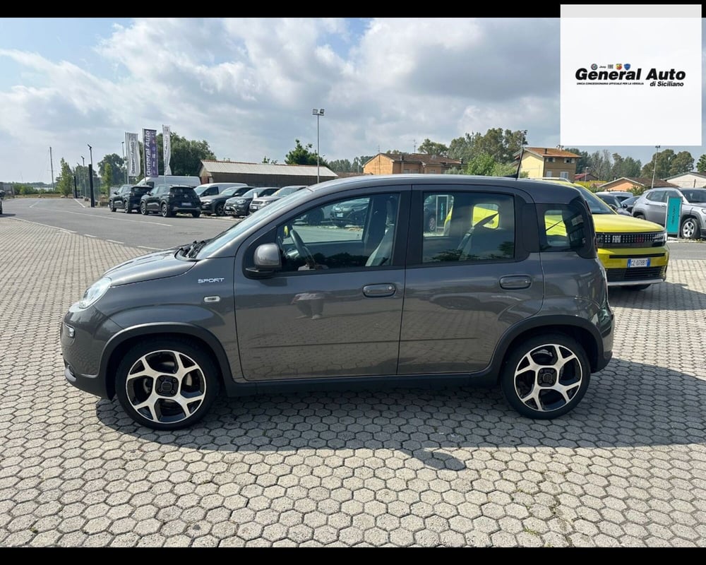 Fiat Panda usata a Lucca (4)