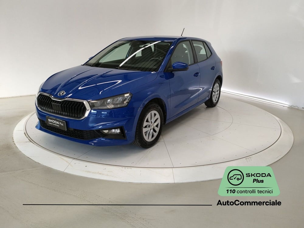 Skoda Fabia usata a Bologna (3)