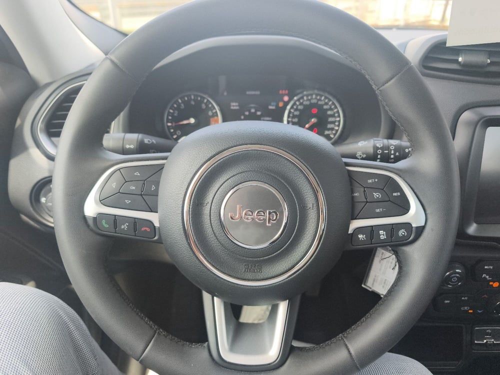 Jeep Renegade usata a Frosinone (15)