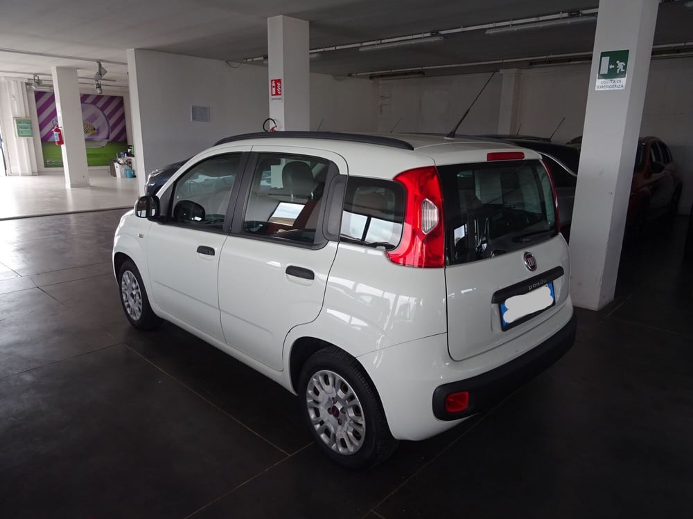 Fiat Panda usata a Lucca (2)
