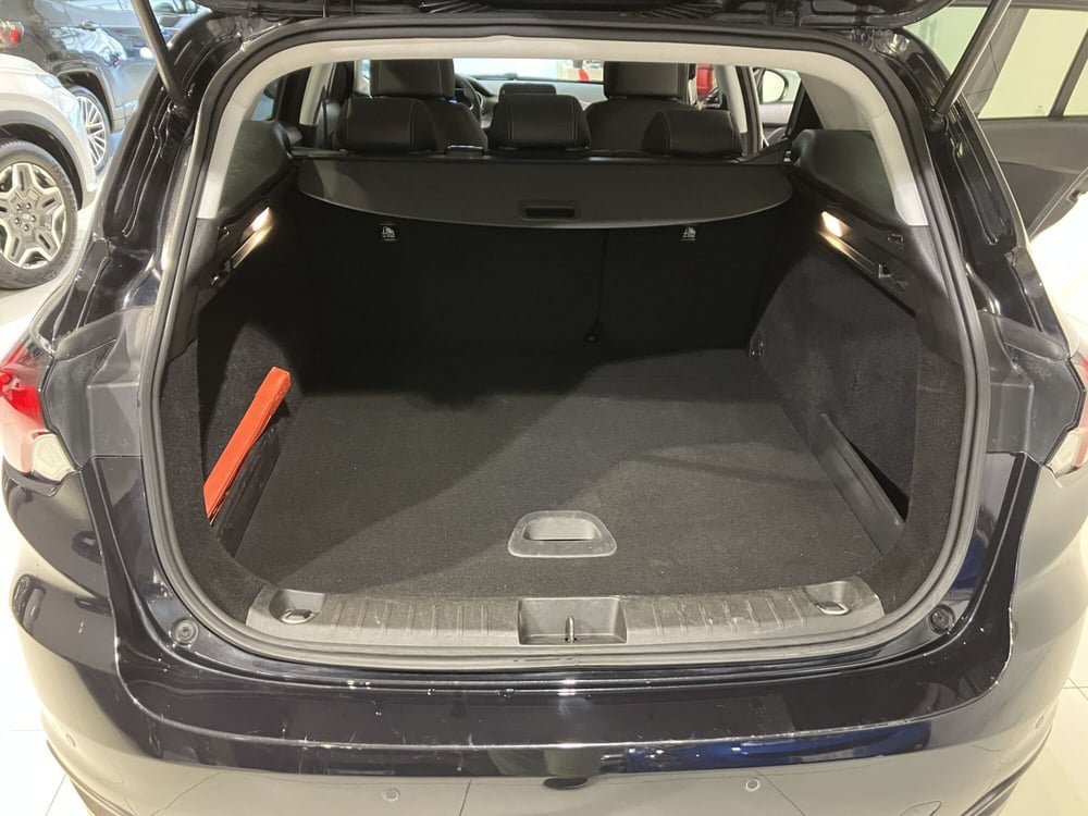 Fiat Tipo Station Wagon usata a Parma (15)