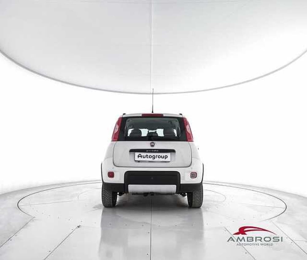 Fiat Panda usata a Viterbo (6)
