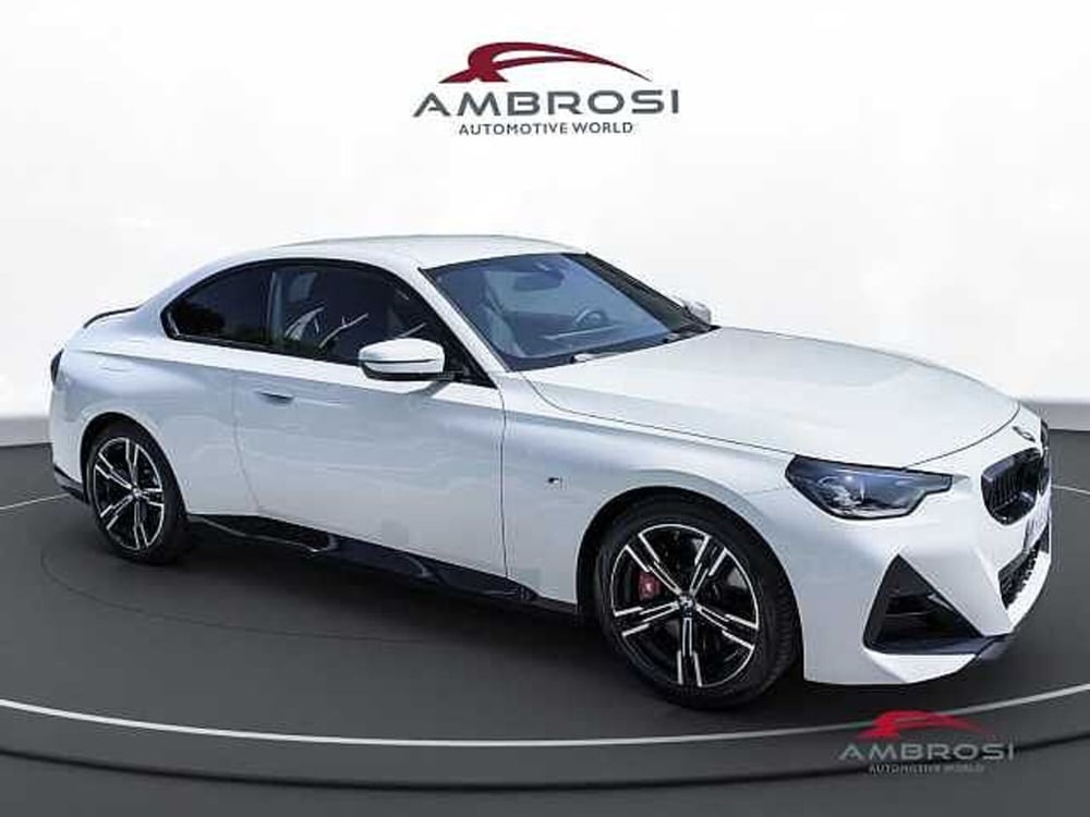 BMW Serie 2 Coupé usata a Viterbo (2)
