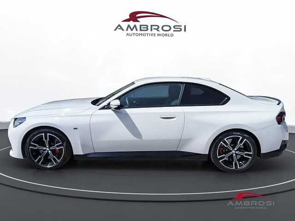 BMW Serie 2 Coupé usata a Viterbo (6)
