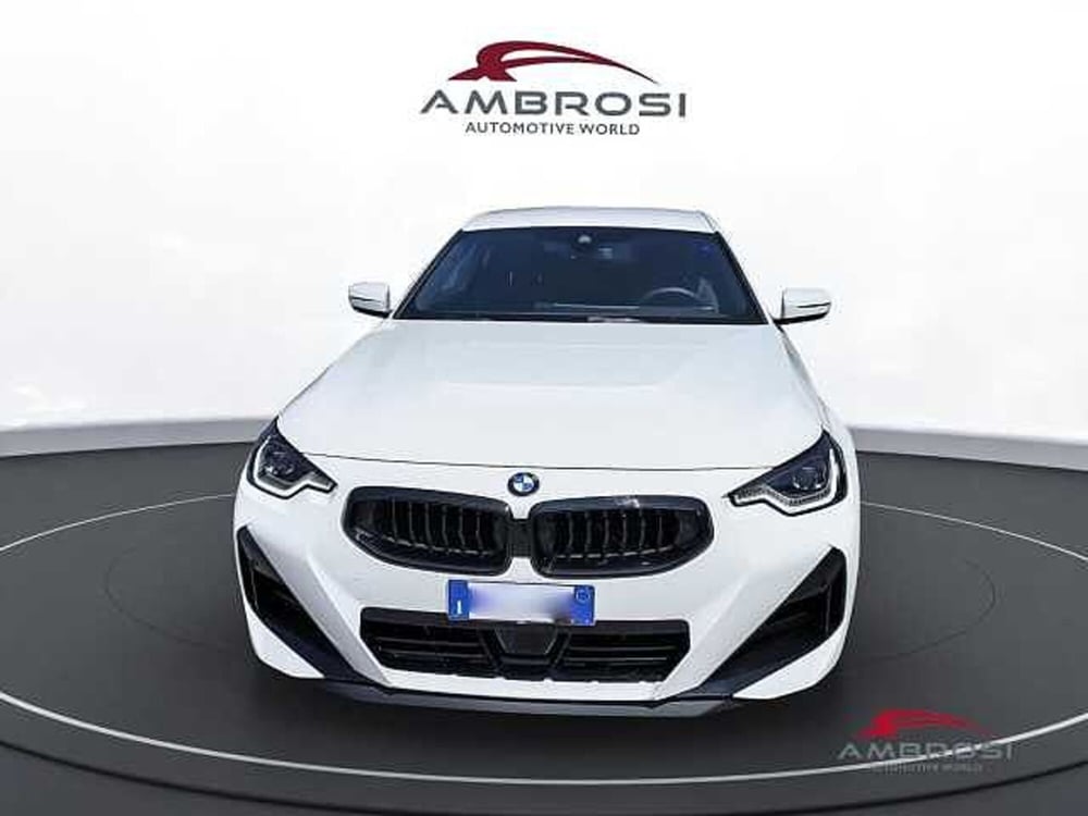 BMW Serie 2 Coupé usata a Viterbo (7)