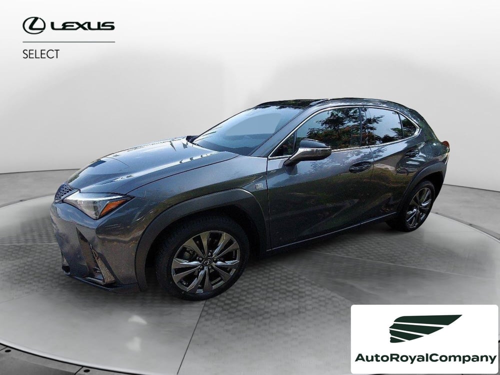 Lexus UX usata a Roma