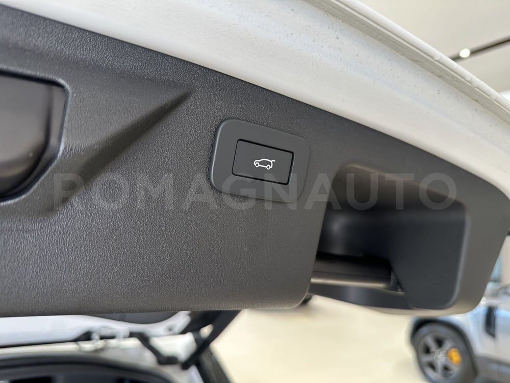 Land Rover Discovery Sport usata a Forlì-Cesena (14)