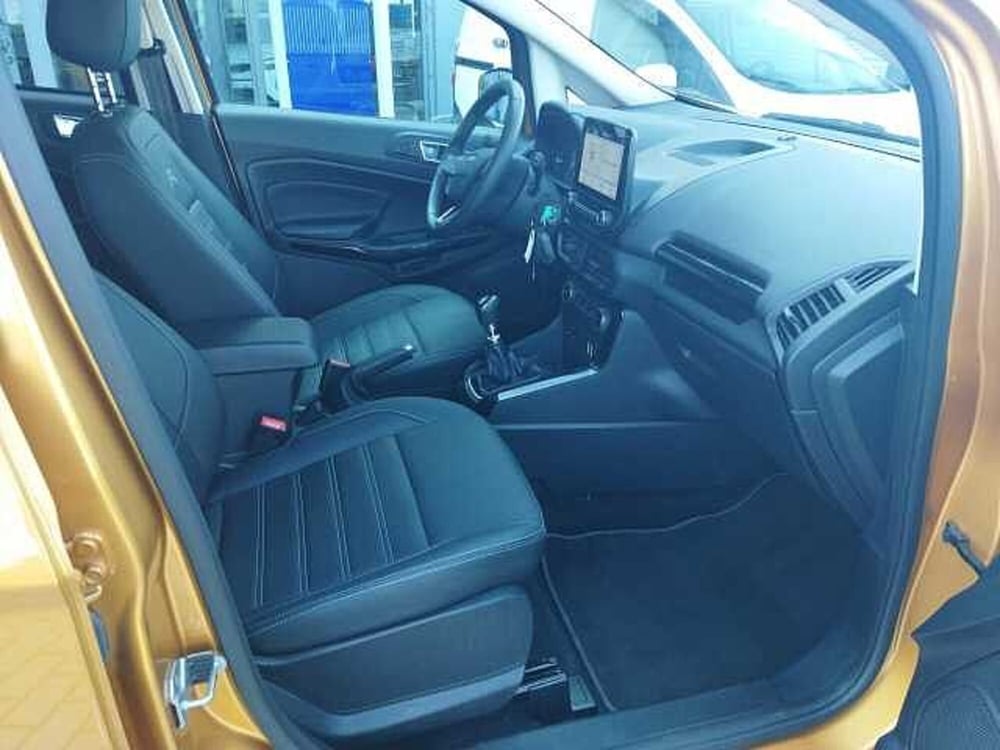 Ford EcoSport usata a Torino (10)