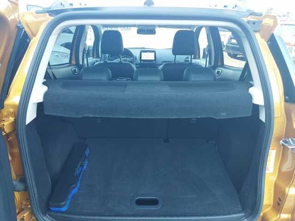 Ford EcoSport usata a Torino (12)