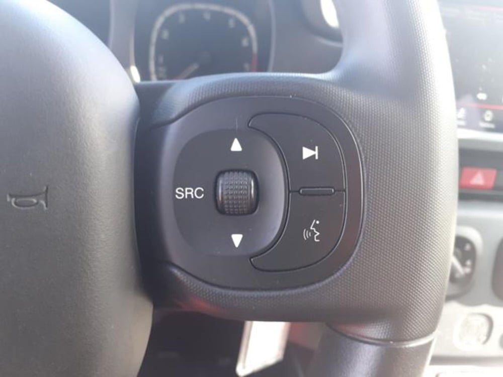 Fiat Panda Cross usata a Firenze (17)