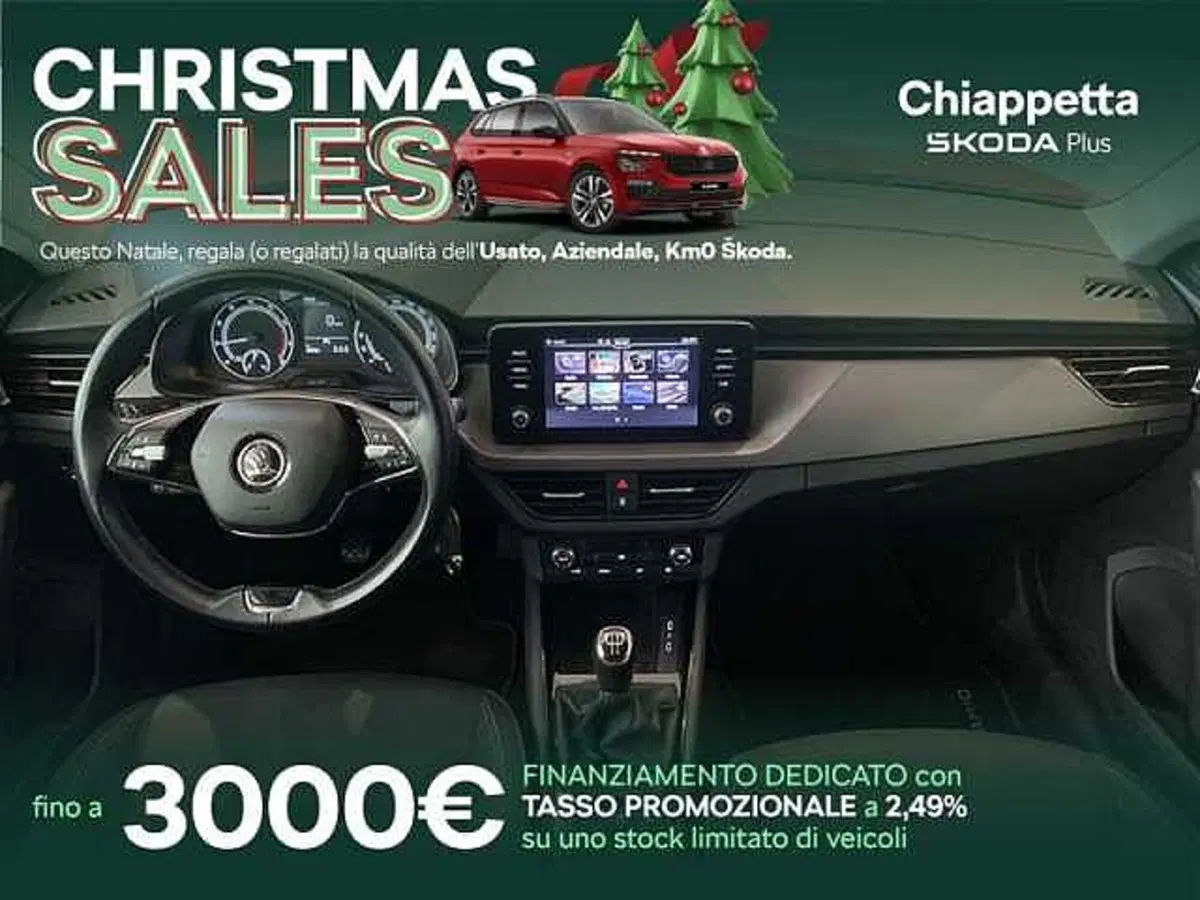 Skoda Kamiq usata a Cosenza (14)