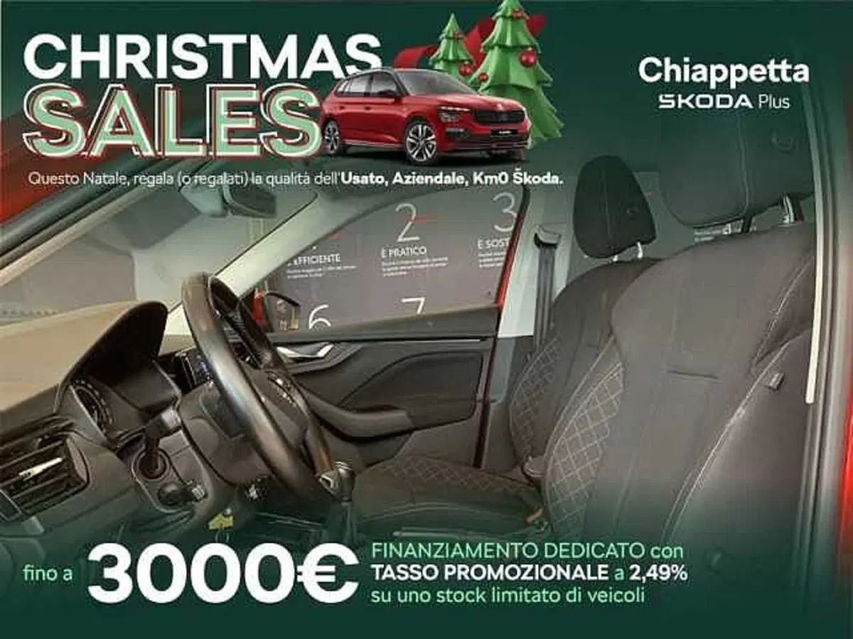 Skoda Kamiq usata a Cosenza (15)
