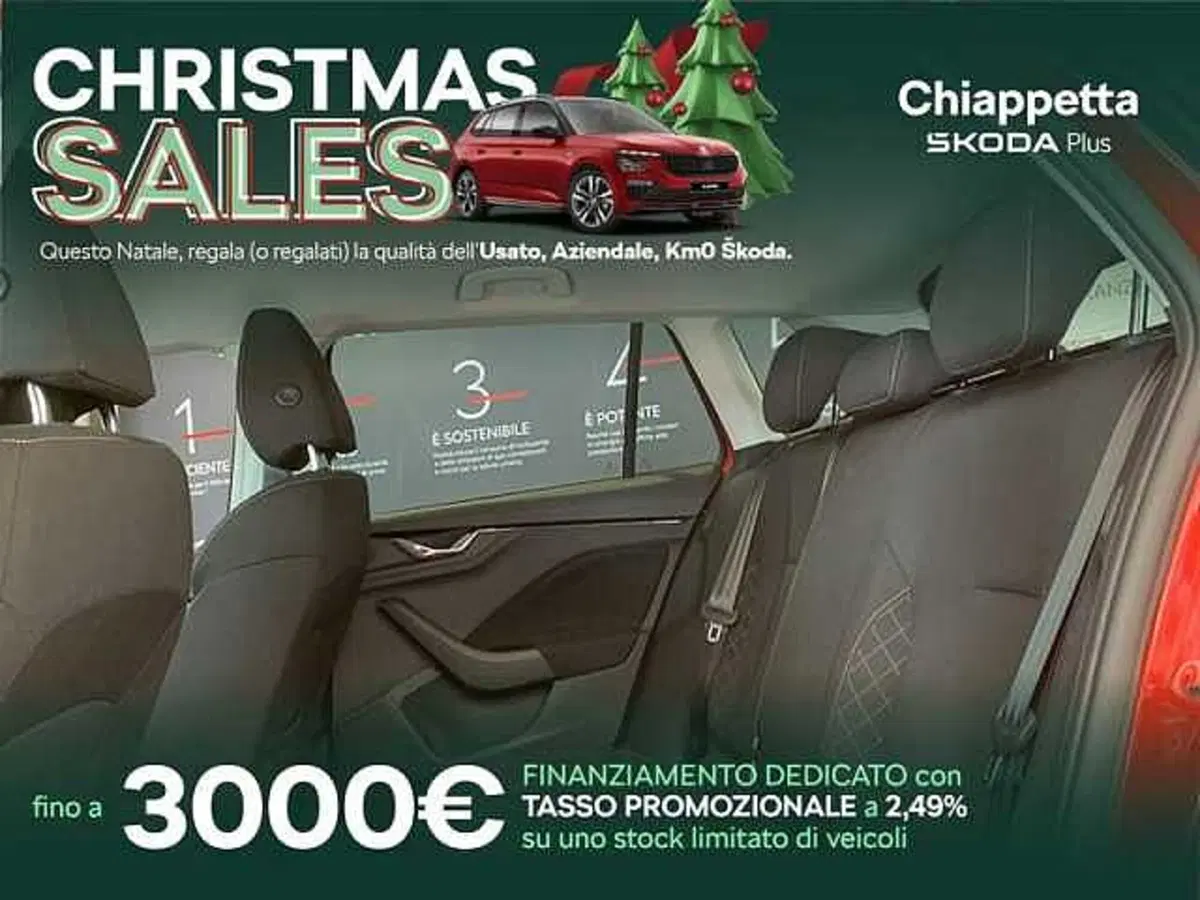 Skoda Kamiq usata a Cosenza (16)