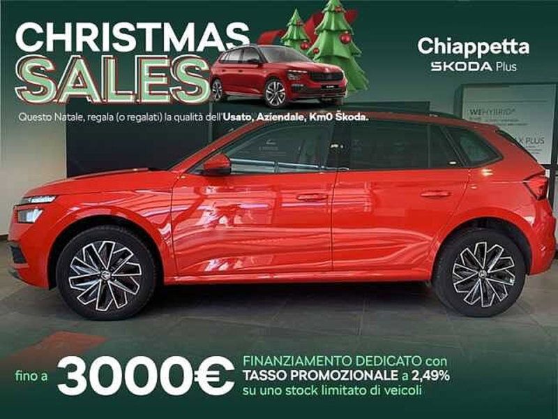 Skoda Kamiq usata a Cosenza (6)