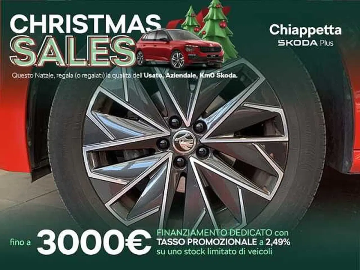 Skoda Kamiq usata a Cosenza (9)