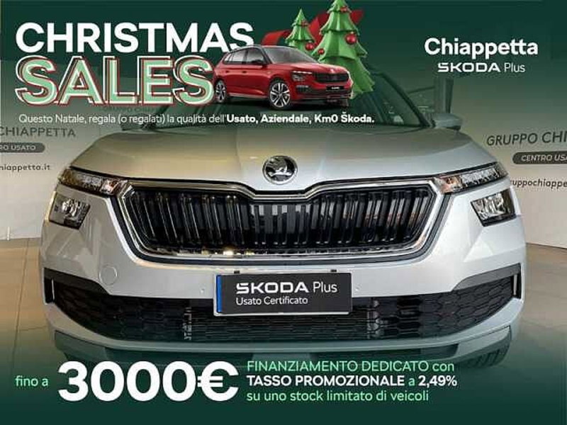 Skoda Kamiq usata a Cosenza (2)