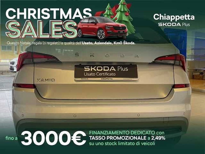 Skoda Kamiq usata a Cosenza (5)