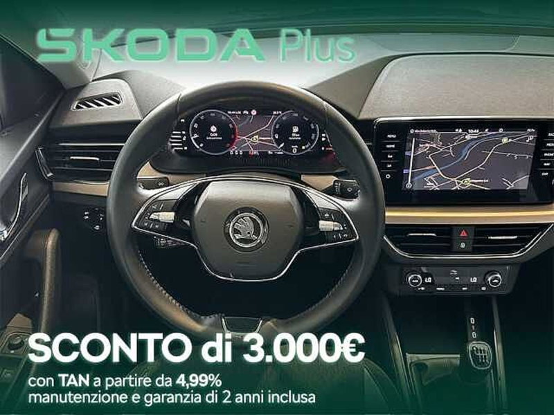 Skoda Kamiq usata a Cosenza (10)