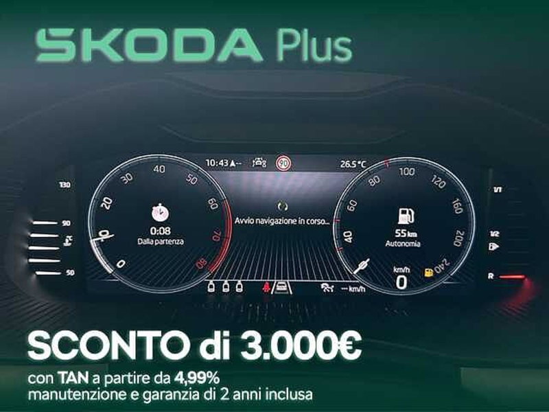 Skoda Kamiq usata a Cosenza (11)