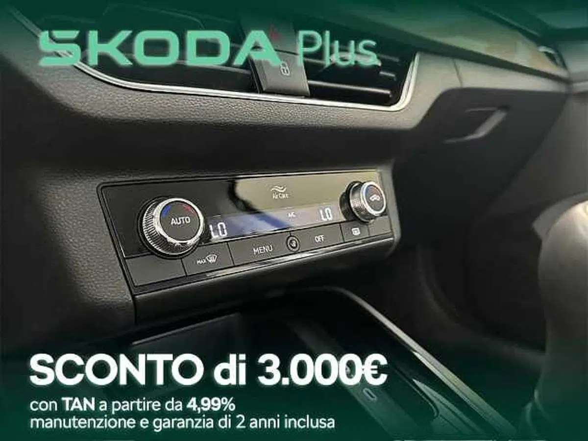 Skoda Kamiq usata a Cosenza (13)