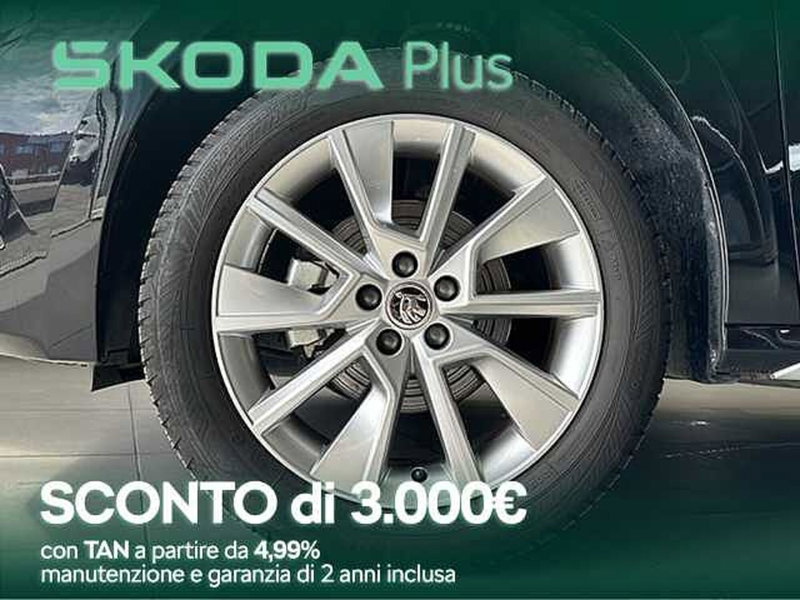 Skoda Kamiq usata a Cosenza (3)